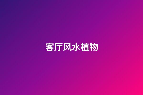 客厅风水植物