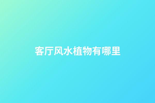 客厅风水植物有哪里