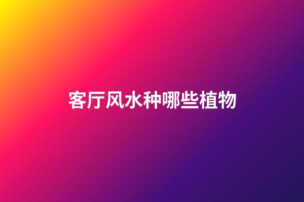 客厅风水种哪些植物