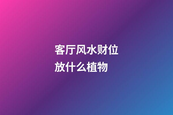 客厅风水财位放什么植物