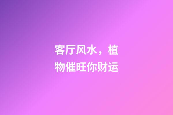 客厅风水，植物催旺你财运