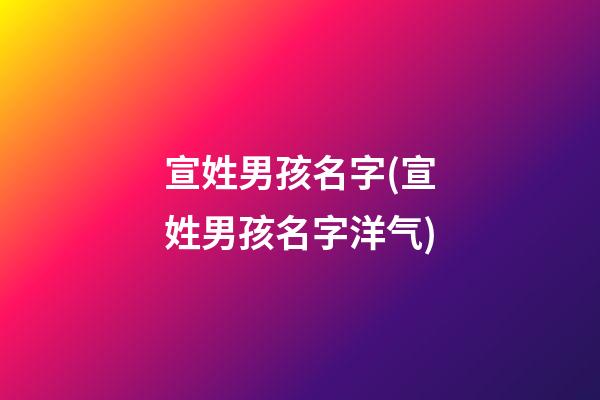 宣姓男孩名字(宣姓男孩名字洋气)