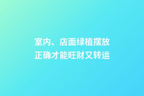 室内、店面绿植摆放正确才能旺财又转运