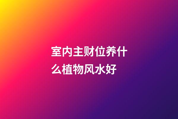 室内主财位养什么植物风水好