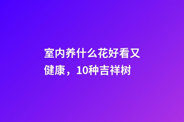 室内养什么花好看又健康，10种吉祥树-第1张-观点-玄机派