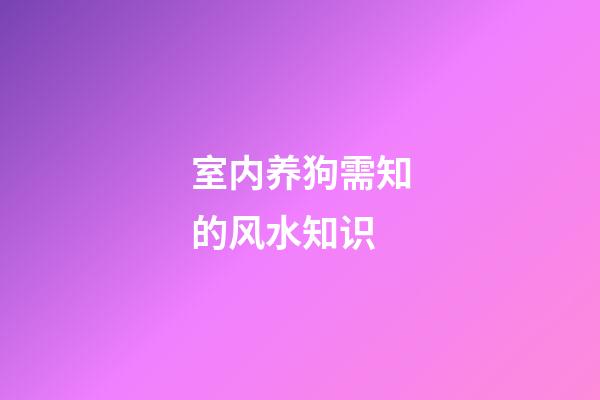 室内养狗需知的风水知识