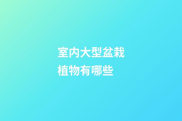 室内大型盆栽植物有哪些