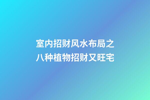室内招财风水布局之八种植物招财又旺宅