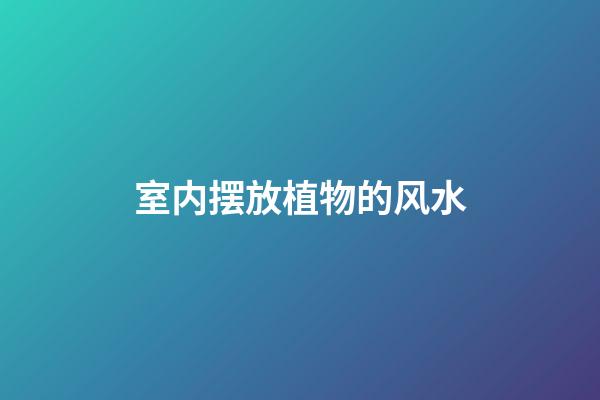 室内摆放植物的风水