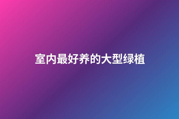 室内最好养的大型绿植