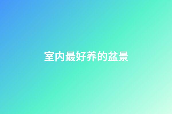 室内最好养的盆景