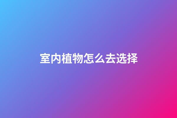室内植物怎么去选择