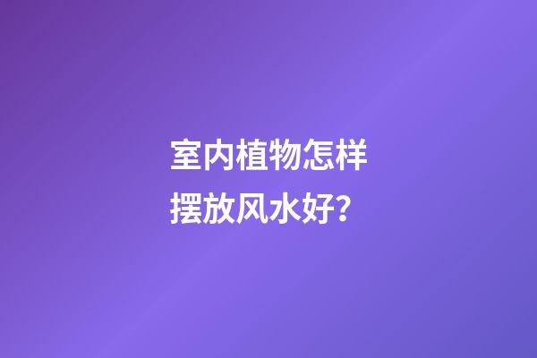室内植物怎样摆放风水好？