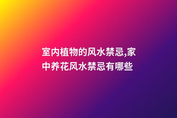 室内植物的风水禁忌,家中养花风水禁忌有哪些
