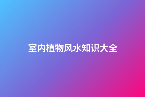 室内植物风水知识大全