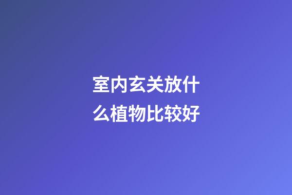 室内玄关放什么植物比较好