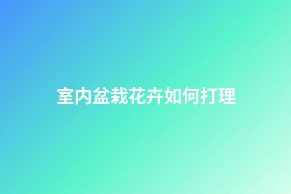 室内盆栽花卉如何打理