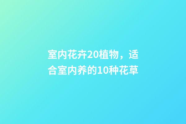 室内花卉20植物，适合室内养的10种花草-第1张-观点-玄机派