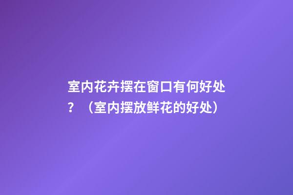 室内花卉摆在窗口有何好处？（室内摆放鲜花的好处）