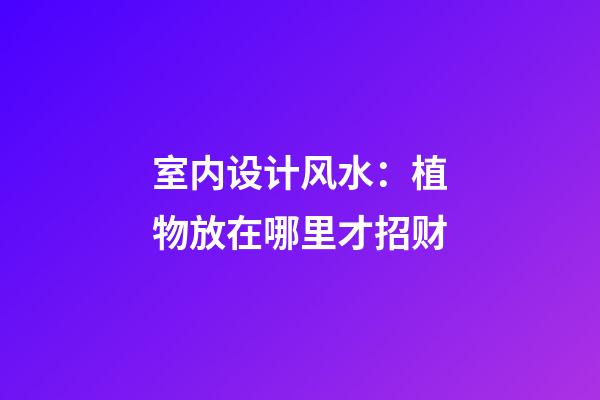 室内设计风水：植物放在哪里才招财