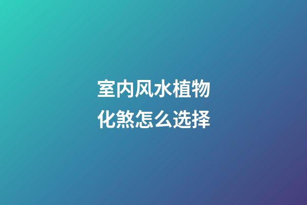 室内风水植物化煞怎么选择