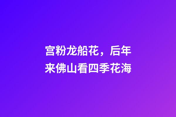 宫粉龙船花，后年来佛山看四季花海-第1张-观点-玄机派