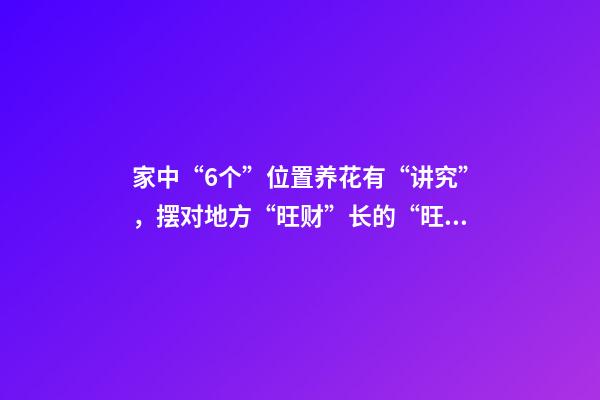 家中“6个”位置养花有“讲究”，摆对地方“旺财”长的“旺盛”