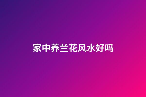 家中养兰花风水好吗