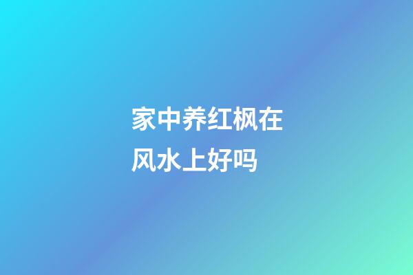 家中养红枫在风水上好吗