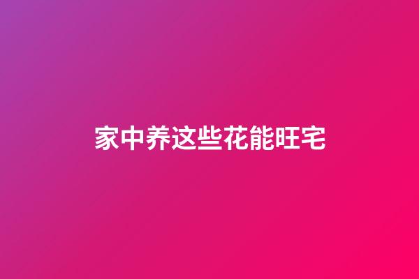 家中养这些花能旺宅