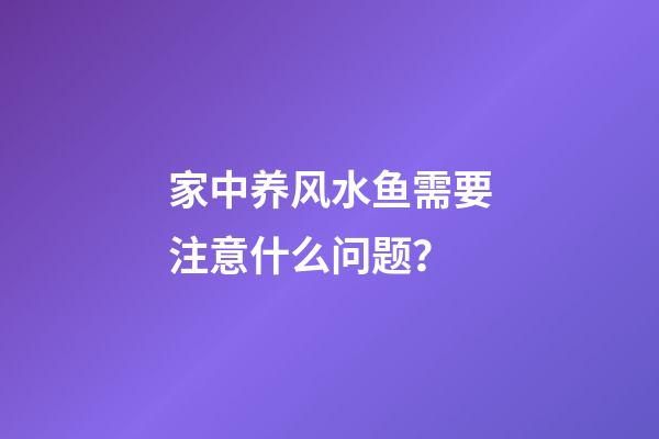 家中养风水鱼需要注意什么问题？