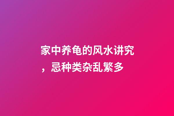 家中养龟的风水讲究，忌种类杂乱繁多