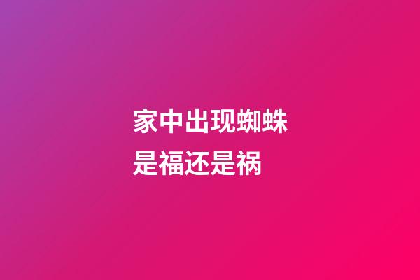 家中出现蜘蛛是福还是祸