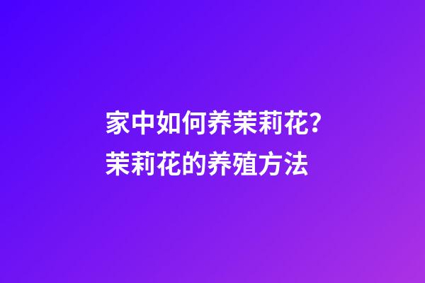 家中如何养茉莉花？茉莉花的养殖方法