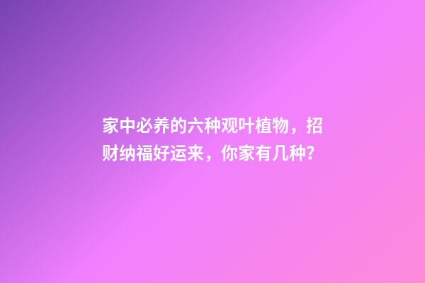 家中必养的六种观叶植物，招财纳福好运来，你家有几种？