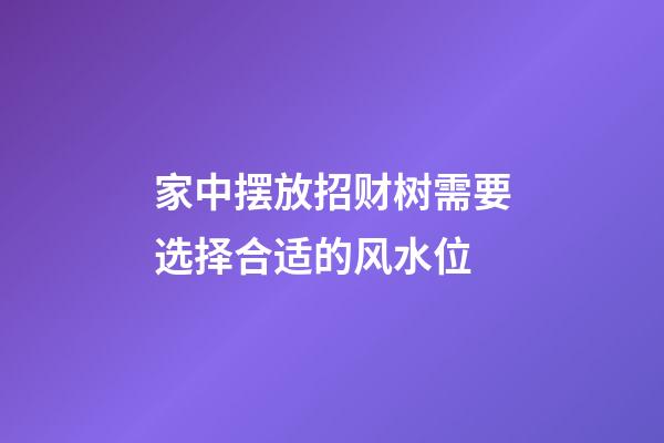 家中摆放招财树需要选择合适的风水位