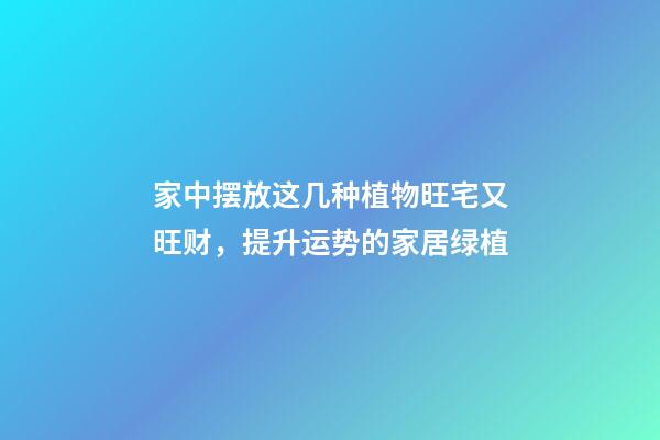 家中摆放这几种植物旺宅又旺财，提升运势的家居绿植