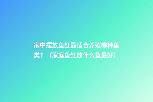 家中摆放鱼缸最适合养殖哪种鱼类？（家庭鱼缸放什么鱼最好）