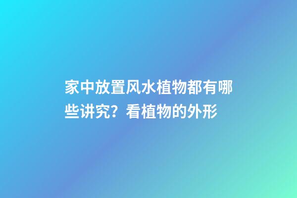 家中放置风水植物都有哪些讲究？看植物的外形