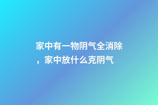 家中有一物阴气全消除，家中放什么克阴气