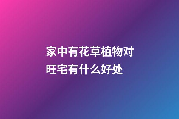 家中有花草植物对旺宅有什么好处