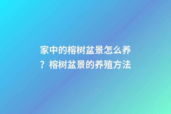 家中的榕树盆景怎么养？榕树盆景的养殖方法