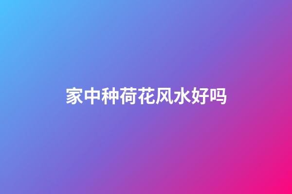 家中种荷花风水好吗