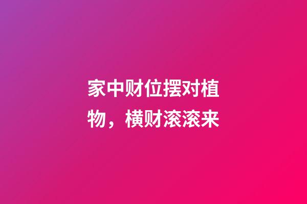 家中财位摆对植物，横财滚滚来