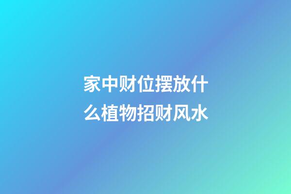家中财位摆放什么植物招财风水
