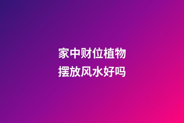 家中财位植物摆放风水好吗