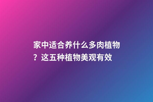 家中适合养什么多肉植物？这五种植物美观有效