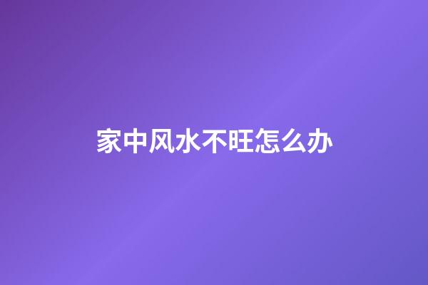 家中风水不旺怎么办