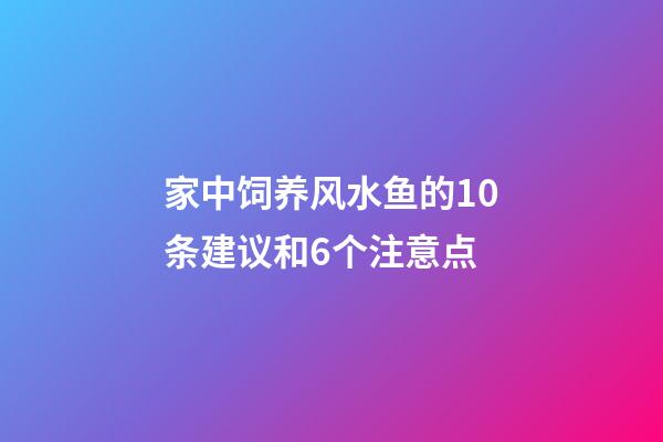 家中饲养风水鱼的10条建议和6个注意点