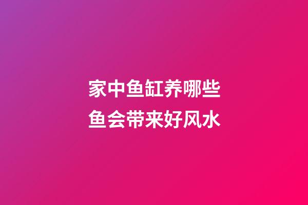 家中鱼缸养哪些鱼会带来好风水